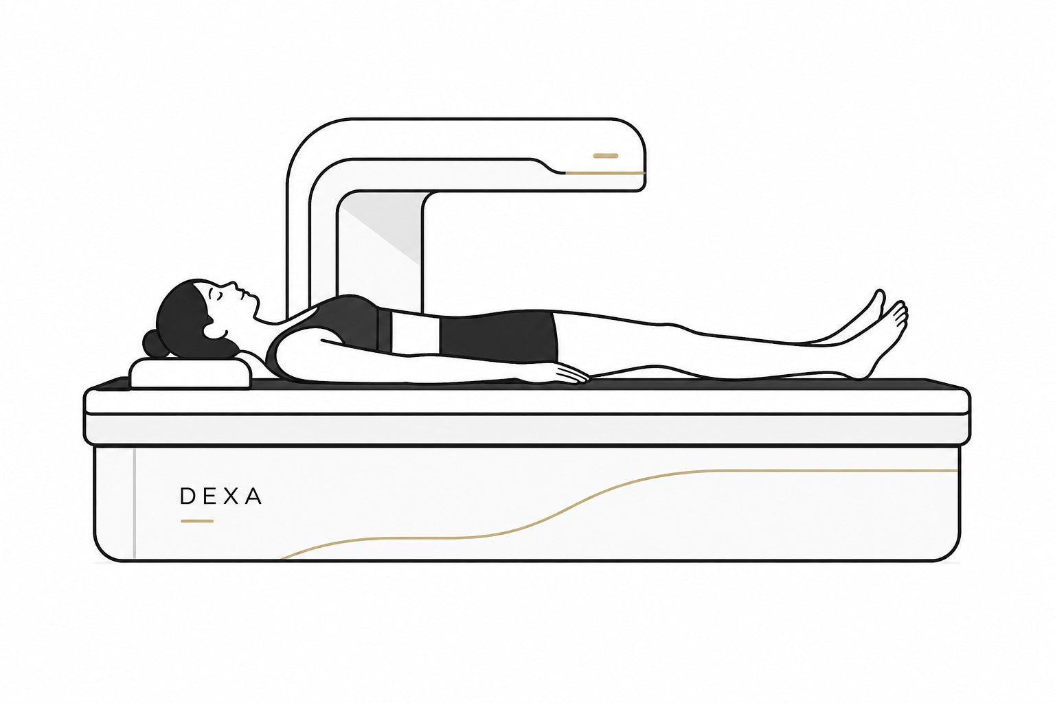 DEXA body composition scan in Oldham | TELOMYX mobile clinic at M60 Pilates Chadderton