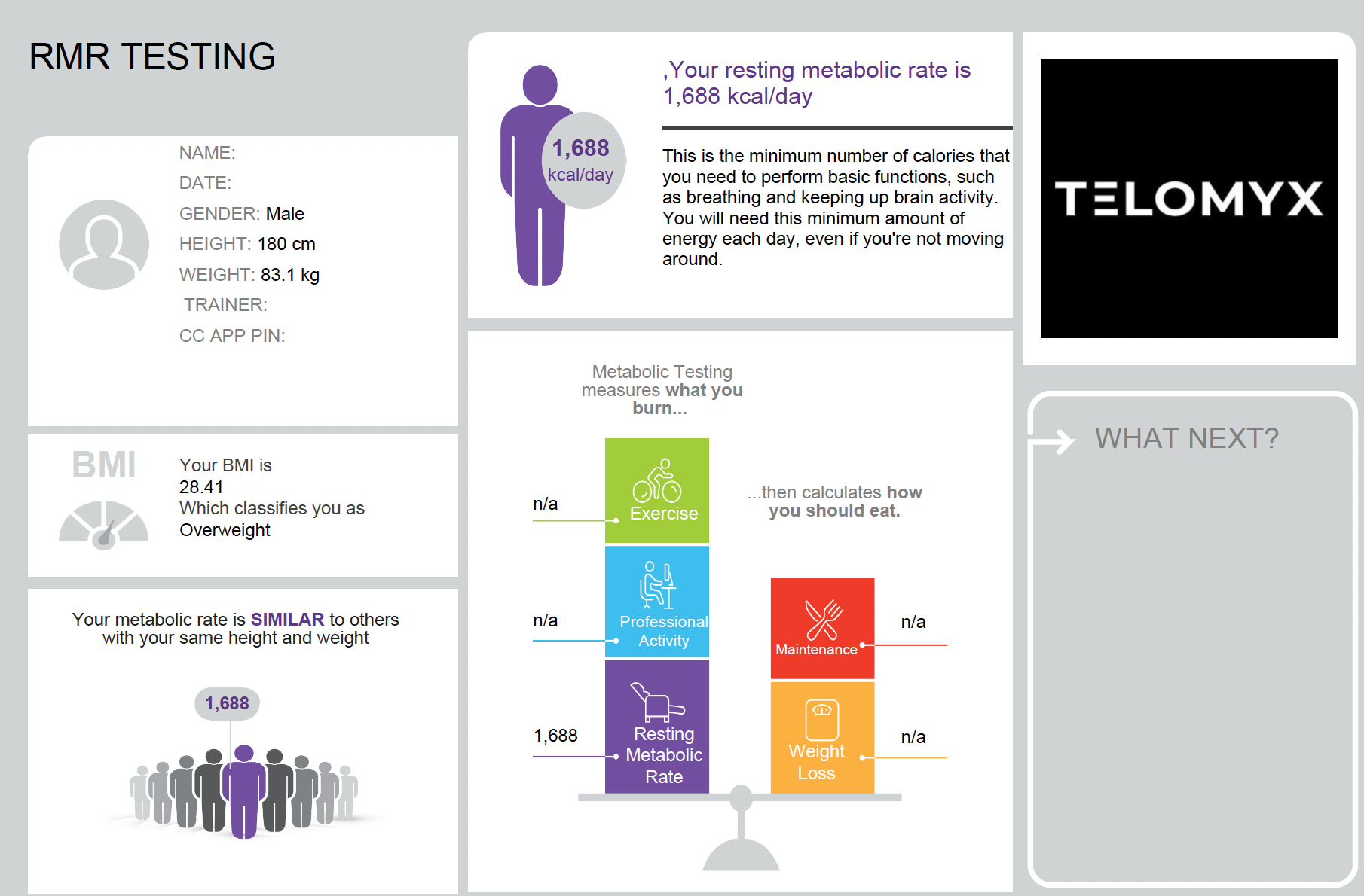 The Key Metrics dashboard section of the Telomyx RMR report